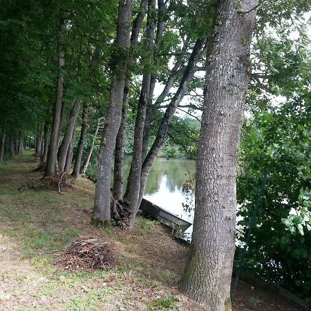 Gite Des Etangs De Saint Bale Apartment Vrigne-aux-Bois Room photo