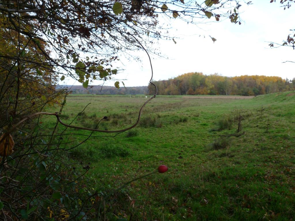 Gite Des Etangs De Saint Bale Apartment Vrigne-aux-Bois Exterior photo