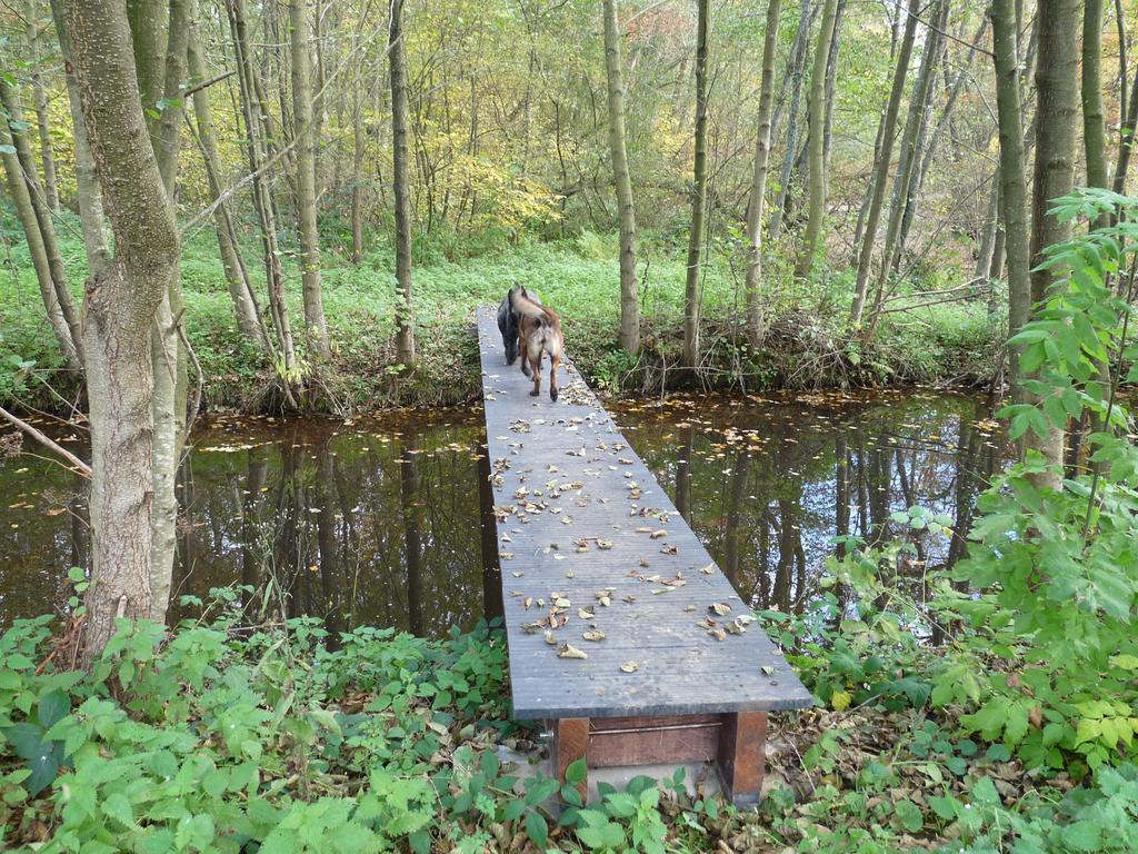 Gite Des Etangs De Saint Bale Apartment Vrigne-aux-Bois Exterior photo