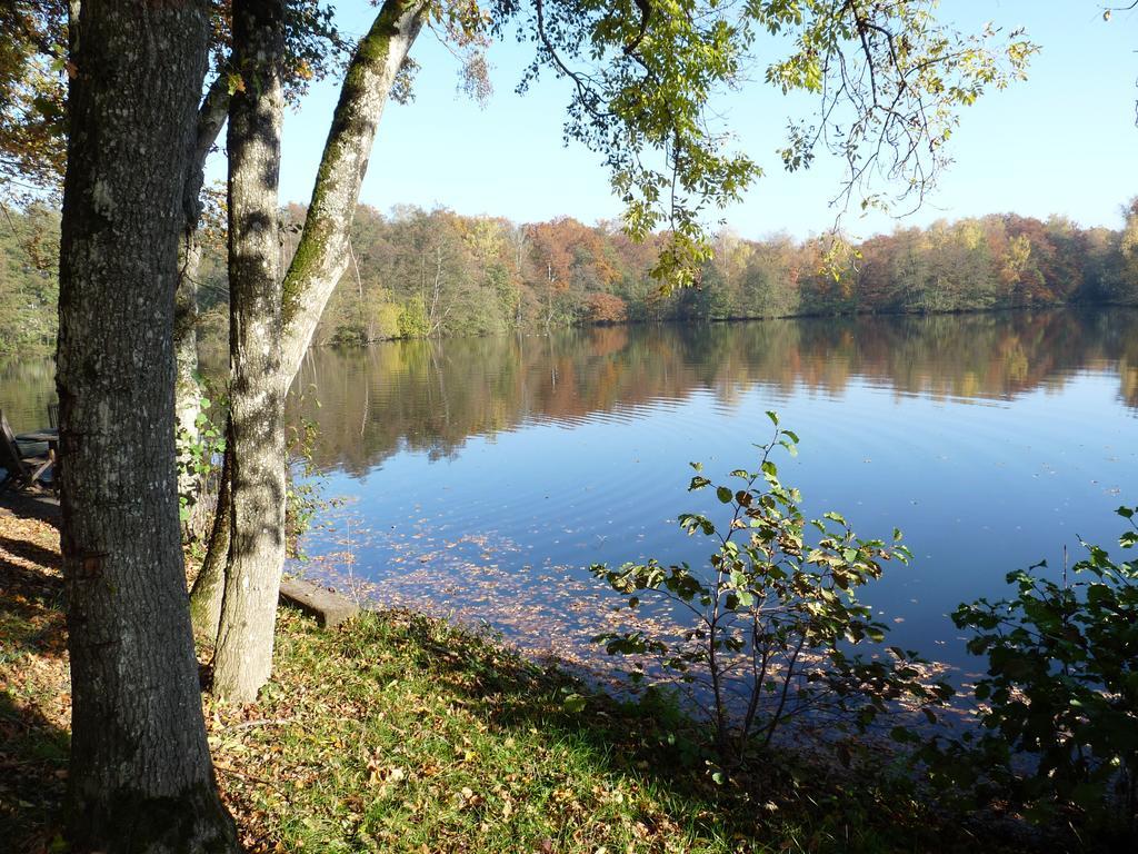 Gite Des Etangs De Saint Bale Apartment Vrigne-aux-Bois Exterior photo