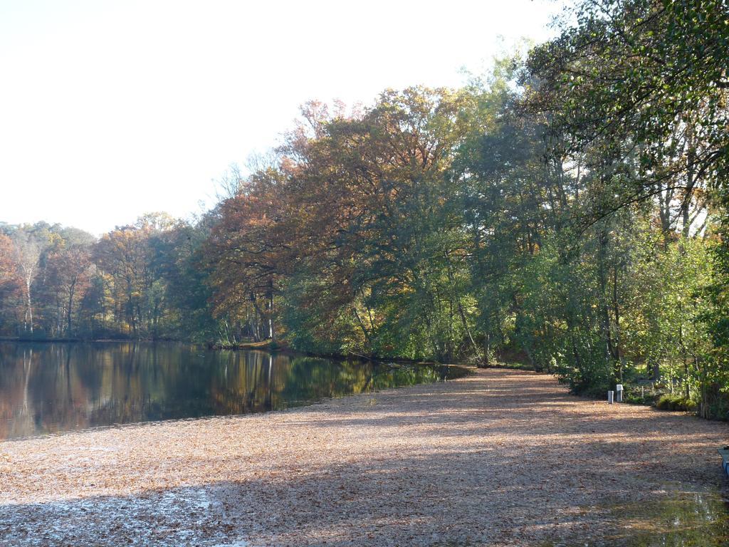 Gite Des Etangs De Saint Bale Apartment Vrigne-aux-Bois Exterior photo