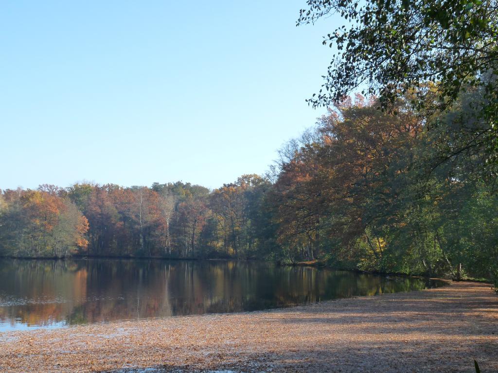 Gite Des Etangs De Saint Bale Apartment Vrigne-aux-Bois Exterior photo