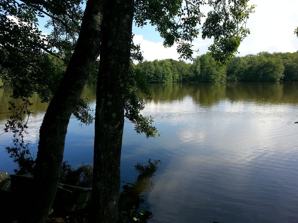 Gite Des Etangs De Saint Bale Apartment Vrigne-aux-Bois Room photo