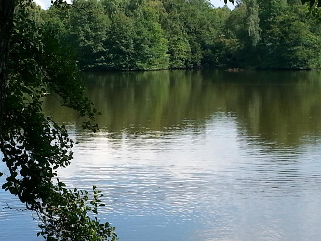 Gite Des Etangs De Saint Bale Apartment Vrigne-aux-Bois Room photo