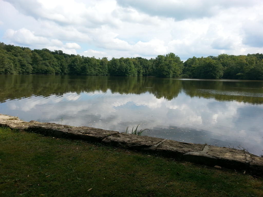 Gite Des Etangs De Saint Bale Apartment Vrigne-aux-Bois Room photo