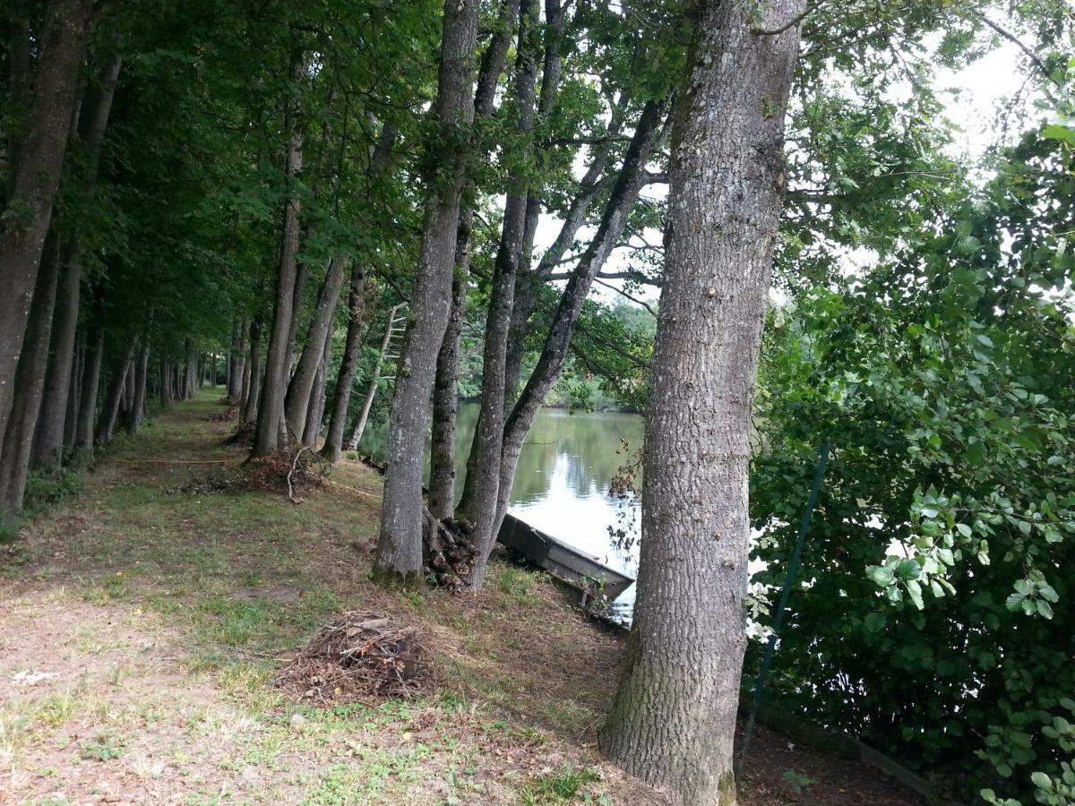 Gite Des Etangs De Saint Bale Apartment Vrigne-aux-Bois Room photo